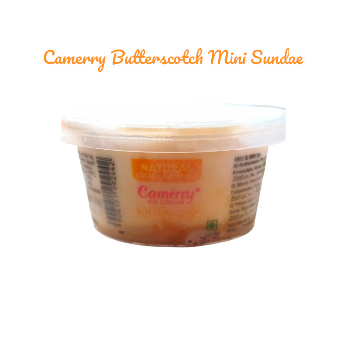 Camerry Butterscotch Mini sundae Ice Cream