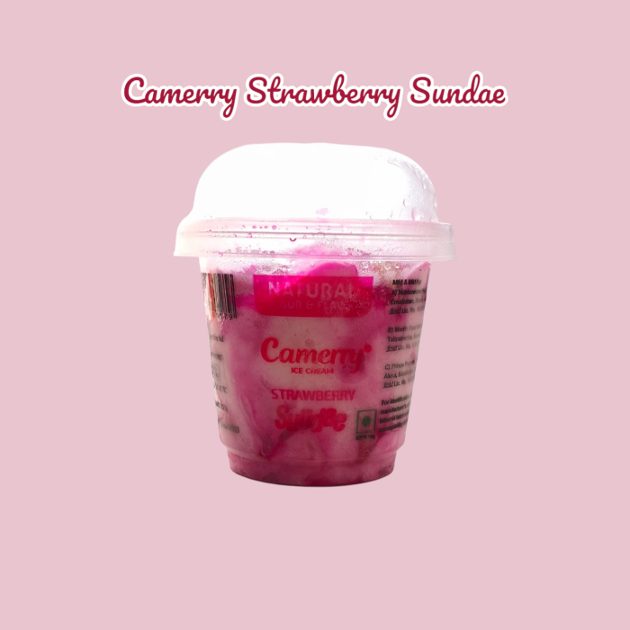 Camerry Strawberry Sundae Ice Cream